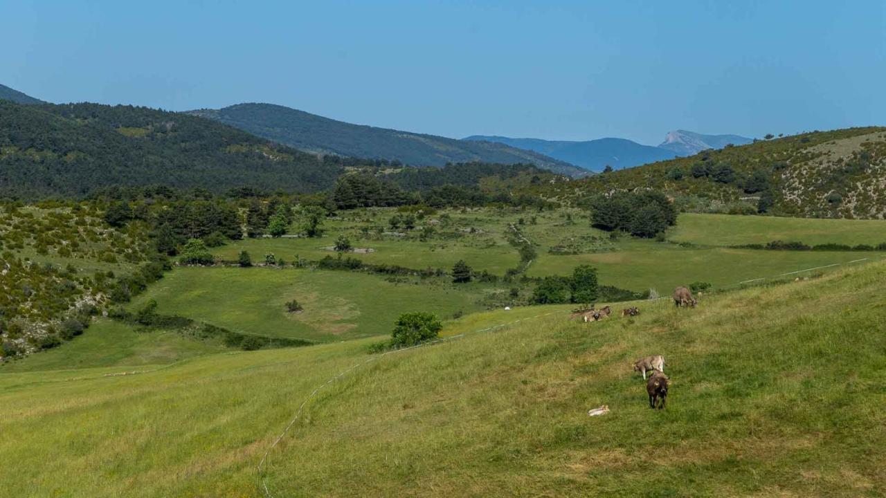 Eco-Apartaments Cal Rossa De Taus Bagian luar foto